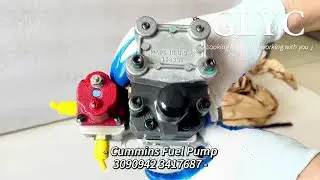 Original Fuel Injection Pump 3417687 3090942 4954876 4954877 For Cummins WhatsAPP:+86 15129825791