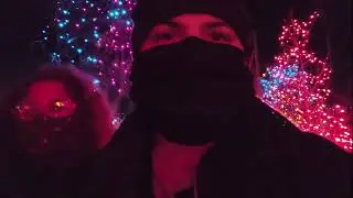 Denver Zoo Lights 2020