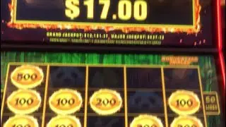 Dragon link: Panda Magic ORBS EVERYWHERE 😲 #Hardrocktampa #slotplayer