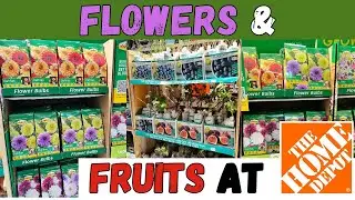 Planting Flowers and Fruits at Home Depot &ndash; Get Ready for Spring!