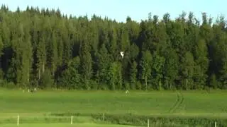 Daniel Rau flying Thunder Tiger Raptor E700