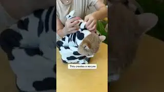 HoW TO WRAP  A CAT IN TOWEL 🧐 #cat #cutecat #cattricks