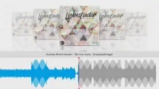 Andree Wischnewski - Tell me more