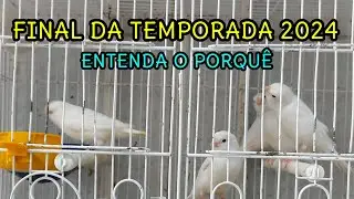 FINAL DA TEMPORADA 2024. ENTENDA O PORQUÊ.
