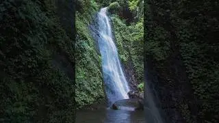 A tall jungle waterfall in Fenglin Taiwan 🇹🇼