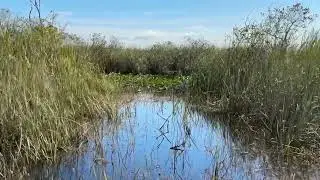 Everglades National Park Airboat ride