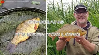 Crucians - Its Been Too Long