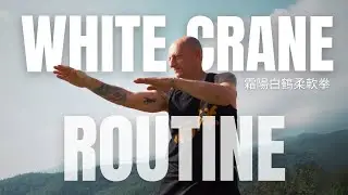 Shuang Yang Pai Ho - Frost Sun White Crane Kung Fu.