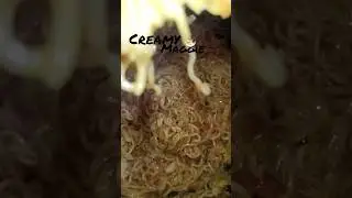 Creamy maggie #viralvideo #indianfood #easyrecipe