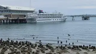 Portland's cruise ship industry is coming back!