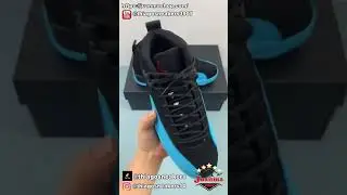 Air Jordan Retro 12 Gamma Blue 130690 027