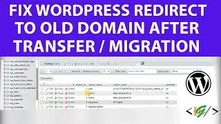 Как исправить перенаправление сайта на старый домен после переноса сайта WordPress