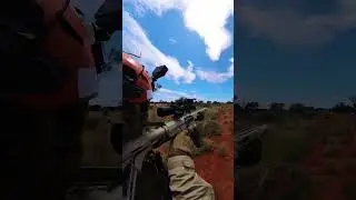 Over-the-Shoulder Action: #Donkey #Control in the #Outback #shooting #feral #australia