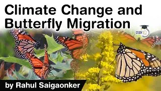 Impact of climate change on butterfly migration - Why butterflies are flying above normal altitude?