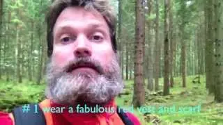 Hiking in the Swedish woods top 5 tips