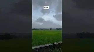 4k nature video #shorts #nature #goa #rain