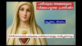 @susannaofjesus Vimalahridaya prathishtta/വിമലഹൃദയപ്രതിഷ്ഠ 30th day#jesuslove#immaculateheartofmary 