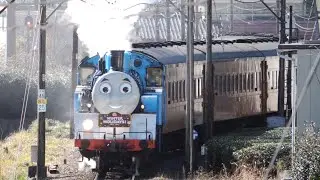 【大井川鐵道】きかんしゃトーマス・SL急行かわね路号（C108 賀正HM）Steam Locomotive