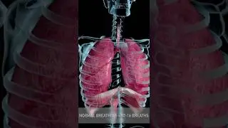 How to breath to activate the Parasympathetic Nervous System Part 1 #shorts