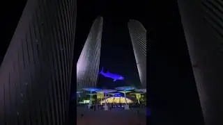 Al Nehem Whale Shark Installation lusail Qatar🇶🇦