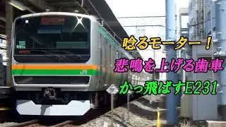 飛ばす！飛ばす！唸るE231系近郊型高速走行！