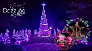 We Found Orlando’s Most Magical Light Show! | Dazzling Nights Leu Gardens 2025