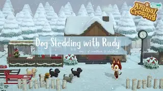 Катание на собачьих упряжках с Руди | День 2 HHP Countdown to Christmas