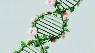 Banana 🍌 shares 60% of DNA🧬 with human DNA