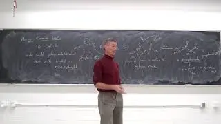 Horner Emmons reaction