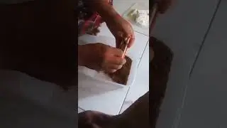 Manual Coconut Fiber Processing | Simple Hand Tool That Boosts Productivity