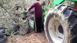 Cajon recogedor de aceituna PROMAGRI, sincronizado