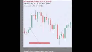 Multiple Bitmex Trollbox trades Visualised Part 29