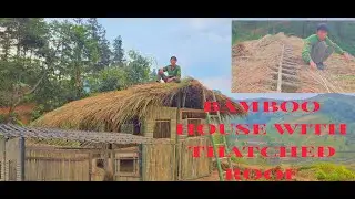 A simple thatched-roof house
