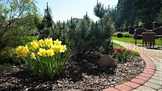 🌺Оригинальные примеры декорирования садового участка / Ideas for a nice garden / A - Video