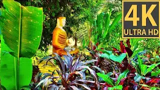 4K, Myanmar - Land der 1000 Pagoden - Fantastic photo trip