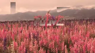 Flume - Holdin On Extended
