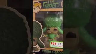 Box Lunch Exclusive Poodle Groot Funko