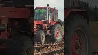 M&aacute;y c&agrave;y Belarus 825 c&oacute; b&ocirc; e đẹp lạ