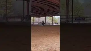 Horsemaking skills on display! #barrelhorses #trainer #futrityhorse #fling