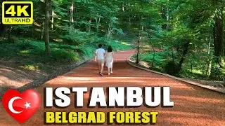 Walking in Belgrad Forest Neşet Suyu | Walking Tour | 15 July 2021| 4k UHD 60fps