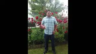 nha querida - Mc Silva hip hop potent