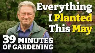 Episode 2: May - Bursting Blooms, New Plants and a Lawn Ready for Summer