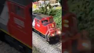 CN with a METRA stack train