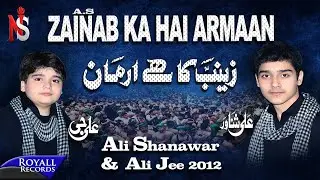 Ali Shanawar & Ali Jee | Zainab Ka Hai Armaan | 2012
