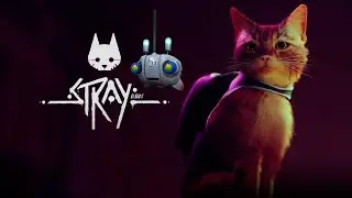Stray | Трущебы | Прохождение | Игра 2022 | Приключения |
