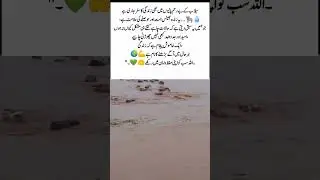 Life Struggles in Floods 🌊🐃#FloodSurvival #BuffaloInFlood #NatureResilience #LifeStruggles