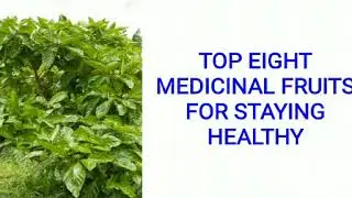 TOP EIGHT MEDICINAL FRUITS