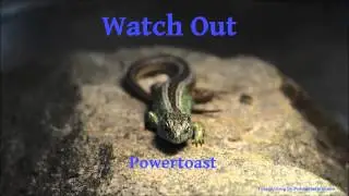 Watch Out [Powertoast]