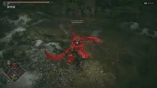 Demon's Souls PVP Dex Build vs. Dex Build