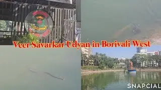 Savarkar Udyan Borivali West | शांत तलाव, हिरवळ & Peaceful सुंदर गार्डन | Lake View Garden in Mumbai